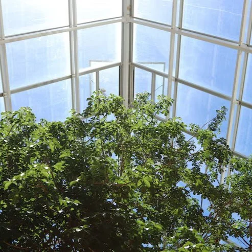 Conservatory interior with glazed roof